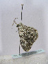  ( - TLMF Lep 00304)  @12 [ ] CreativeCommons - Attribution Non-Commercial Share-Alike (2010) Unspecified Tiroler Landesmuseen