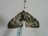  ( - TLMF Lep 00331)  @12 [ ] CreativeCommons - Attribution Non-Commercial Share-Alike (2010) Unspecified Tiroler Landesmuseen