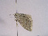  ( - TLMF Lep 00358)  @12 [ ] CreativeCommons - Attribution Non-Commercial Share-Alike (2010) Unspecified Tiroler Landesmuseen