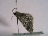  ( - TLMF Lep 00369)  @13 [ ] CreativeCommons - Attribution Non-Commercial Share-Alike (2010) Unspecified Tiroler Landesmuseen