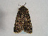  ( - TLMF Lep 00387)  @13 [ ] CreativeCommons - Attribution Non-Commercial Share-Alike (2010) Unspecified Tiroler Landesmuseen