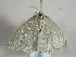  ( - TLMF Lep 00435)  @12 [ ] CreativeCommons - Attribution Non-Commercial Share-Alike (2010) Unspecified Tiroler Landesmuseen