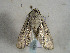  ( - TLMF Lep 00438)  @13 [ ] CreativeCommons - Attribution Non-Commercial Share-Alike (2010) Unspecified Tiroler Landesmuseen