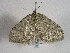  ( - TLMF Lep 00471)  @13 [ ] CreativeCommons - Attribution Non-Commercial Share-Alike (2010) Unspecified Tiroler Landesmuseen