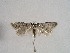 ( - TLMF Lep 00519)  @13 [ ] CreativeCommons - Attribution Non-Commercial Share-Alike (2010) Unspecified Tiroler Landesmuseen
