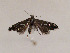  ( - TLMF Lep 00532)  @13 [ ] CreativeCommons - Attribution Non-Commercial Share-Alike (2010) Unspecified Tiroler Landesmuseen