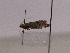  ( - TLMF Lep 00554)  @13 [ ] CreativeCommons - Attribution Non-Commercial Share-Alike (2010) Unspecified Tiroler Landesmuseen