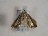  ( - TLMF Lep 00573)  @12 [ ] CreativeCommons - Attribution Non-Commercial Share-Alike (2010) Unspecified Tiroler Landesmuseen