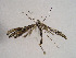  ( - TLMF Lep 00578)  @12 [ ] CreativeCommons - Attribution Non-Commercial Share-Alike (2010) Unspecified Tiroler Landesmuseen
