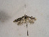  ( - TLMF Lep 00595)  @13 [ ] CreativeCommons - Attribution Non-Commercial Share-Alike (2010) Unspecified Tiroler Landesmuseen