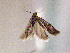  ( - TLMF Lep 00597)  @12 [ ] CreativeCommons - Attribution Non-Commercial Share-Alike (2010) Unspecified Tiroler Landesmuseen