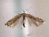  ( - TLMF Lep 00615)  @13 [ ] CreativeCommons - Attribution Non-Commercial Share-Alike (2010) Unspecified Tiroler Landesmuseen