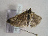  ( - TLMF Lep 00634)  @13 [ ] CreativeCommons - Attribution Non-Commercial Share-Alike (2010) Unspecified Tiroler Landesmuseen