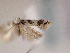  ( - TLMF Lep 00648)  @13 [ ] CreativeCommons - Attribution Non-Commercial Share-Alike (2010) Unspecified Tiroler Landesmuseen