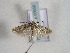  ( - TLMF Lep 00656)  @13 [ ] CreativeCommons - Attribution Non-Commercial Share-Alike (2010) Unspecified Tiroler Landesmuseen