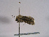  ( - TLMF Lep 00704)  @12 [ ] CreativeCommons - Attribution Non-Commercial Share-Alike (2010) Unspecified Tiroler Landesmuseen