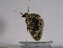  ( - TLMF Lep 00711)  @12 [ ] CreativeCommons - Attribution Non-Commercial Share-Alike (2010) Unspecified Tiroler Landesmuseen