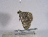 ( - TLMF Lep 00729)  @12 [ ] CreativeCommons - Attribution Non-Commercial Share-Alike (2010) Unspecified Tiroler Landesmuseen
