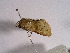  ( - TLMF Lep 00747)  @12 [ ] CreativeCommons - Attribution Non-Commercial Share-Alike (2010) Unspecified Tiroler Landesmuseen