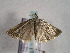  ( - TLMF Lep 00753)  @13 [ ] CreativeCommons - Attribution Non-Commercial Share-Alike (2010) Unspecified Tiroler Landesmuseen