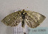  ( - TLMF Lep 00809)  @12 [ ] CreativeCommons - Attribution Non-Commercial Share-Alike (2010) Unspecified Tiroler Landesmuseen