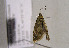  ( - TLMF Lep 00818)  @12 [ ] CreativeCommons - Attribution Non-Commercial Share-Alike (2010) Unspecified Tiroler Landesmuseen