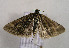  ( - TLMF Lep 00912)  @15 [ ] CreativeCommons - Attribution Non-Commercial Share-Alike (2010) Unspecified Tiroler Landesmuseen