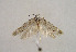  ( - TLMF Lep 00954)  @13 [ ] CreativeCommons - Attribution Non-Commercial Share-Alike (2010) Unspecified Tiroler Landesmuseen