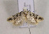  ( - TLMF Lep 00964)  @13 [ ] CreativeCommons - Attribution Non-Commercial Share-Alike (2010) Unspecified Tiroler Landesmuseen
