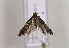  ( - TLMF Lep 00967)  @13 [ ] CreativeCommons - Attribution Non-Commercial Share-Alike (2010) Unspecified Tiroler Landesmuseen