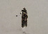  ( - TLMF Lep 01016)  @12 [ ] CreativeCommons - Attribution Non-Commercial Share-Alike (2010) Unspecified Tiroler Landesmuseen