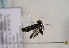  ( - TLMF Lep 01040)  @12 [ ] CreativeCommons - Attribution Non-Commercial Share-Alike (2010) Unspecified Tiroler Landesmuseen