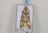  ( - TLMF Lep 01042)  @12 [ ] CreativeCommons - Attribution Non-Commercial Share-Alike (2010) Unspecified Tiroler Landesmuseen