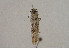  ( - TLMF Lep 01044)  @12 [ ] CreativeCommons - Attribution Non-Commercial Share-Alike (2010) Unspecified Tiroler Landesmuseen