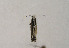  ( - TLMF Lep 01056)  @12 [ ] CreativeCommons - Attribution Non-Commercial Share-Alike (2010) Unspecified Tiroler Landesmuseen