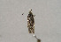  ( - TLMF Lep 01071)  @12 [ ] CreativeCommons - Attribution Non-Commercial Share-Alike (2010) Unspecified Tiroler Landesmuseen