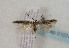  ( - TLMF Lep 01074)  @11 [ ] CreativeCommons - Attribution Non-Commercial Share-Alike (2010) Unspecified Tiroler Landesmuseen
