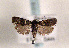  ( - TLMF Lep 01318)  @12 [ ] CreativeCommons - Attribution Non-Commercial Share-Alike (2010) Unspecified Tiroler Landesmuseen