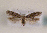 ( - TLMF Lep 01361)  @14 [ ] CreativeCommons - Attribution Non-Commercial Share-Alike (2010) Unspecified Tiroler Landesmuseen