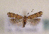  ( - TLMF Lep 01362)  @15 [ ] CreativeCommons - Attribution Non-Commercial Share-Alike (2010) Unspecified Tiroler Landesmuseen