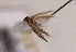  ( - TLMF Lep 01384)  @11 [ ] CreativeCommons - Attribution Non-Commercial Share-Alike (2010) Unspecified Tiroler Landesmuseen