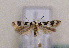 ( - TLMF Lep 01412)  @14 [ ] CreativeCommons - Attribution Non-Commercial Share-Alike (2010) Unspecified Tiroler Landesmuseen