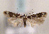  ( - TLMF Lep 01421)  @14 [ ] CreativeCommons - Attribution Non-Commercial Share-Alike (2010) Unspecified Tiroler Landesmuseen