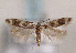 ( - TLMF Lep 01422)  @14 [ ] CreativeCommons - Attribution Non-Commercial Share-Alike (2010) Unspecified Tiroler Landesmuseen