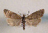  ( - TLMF Lep 01426)  @12 [ ] CreativeCommons - Attribution Non-Commercial Share-Alike (2010) Unspecified Tiroler Landesmuseen