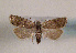  ( - TLMF Lep 01427)  @13 [ ] CreativeCommons - Attribution Non-Commercial Share-Alike (2010) Unspecified Tiroler Landesmuseen