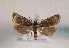  ( - TLMF Lep 01430)  @13 [ ] CreativeCommons - Attribution Non-Commercial Share-Alike (2010) Unspecified Tiroler Landesmuseen
