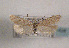  ( - TLMF Lep 01434)  @12 [ ] CreativeCommons - Attribution Non-Commercial Share-Alike (2010) Unspecified Tiroler Landesmuseen