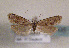  ( - TLMF Lep 01435)  @11 [ ] CreativeCommons - Attribution Non-Commercial Share-Alike (2010) Unspecified Tiroler Landesmuseen