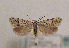  ( - TLMF Lep 01452)  @13 [ ] CreativeCommons - Attribution Non-Commercial Share-Alike (2010) Unspecified Tiroler Landesmuseen